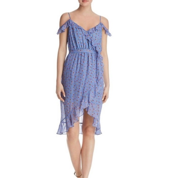 JOIE Strawberries Flounce
Floral Dress, Cornflower blue - Picture 3 of 8